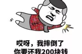 清流如何避免债务纠纷？专业追讨公司教您应对之策